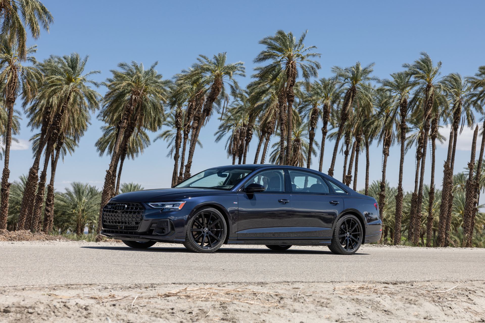 audi a8 l side profile palm trees dark blue