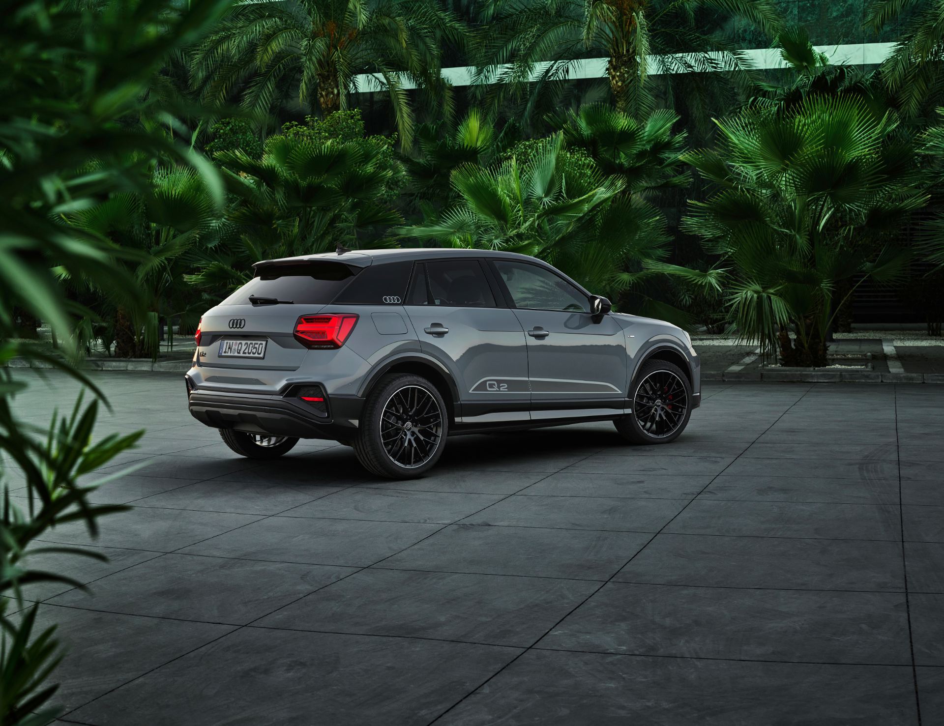 2025 audi q2 rear three quarter tropical plants grey