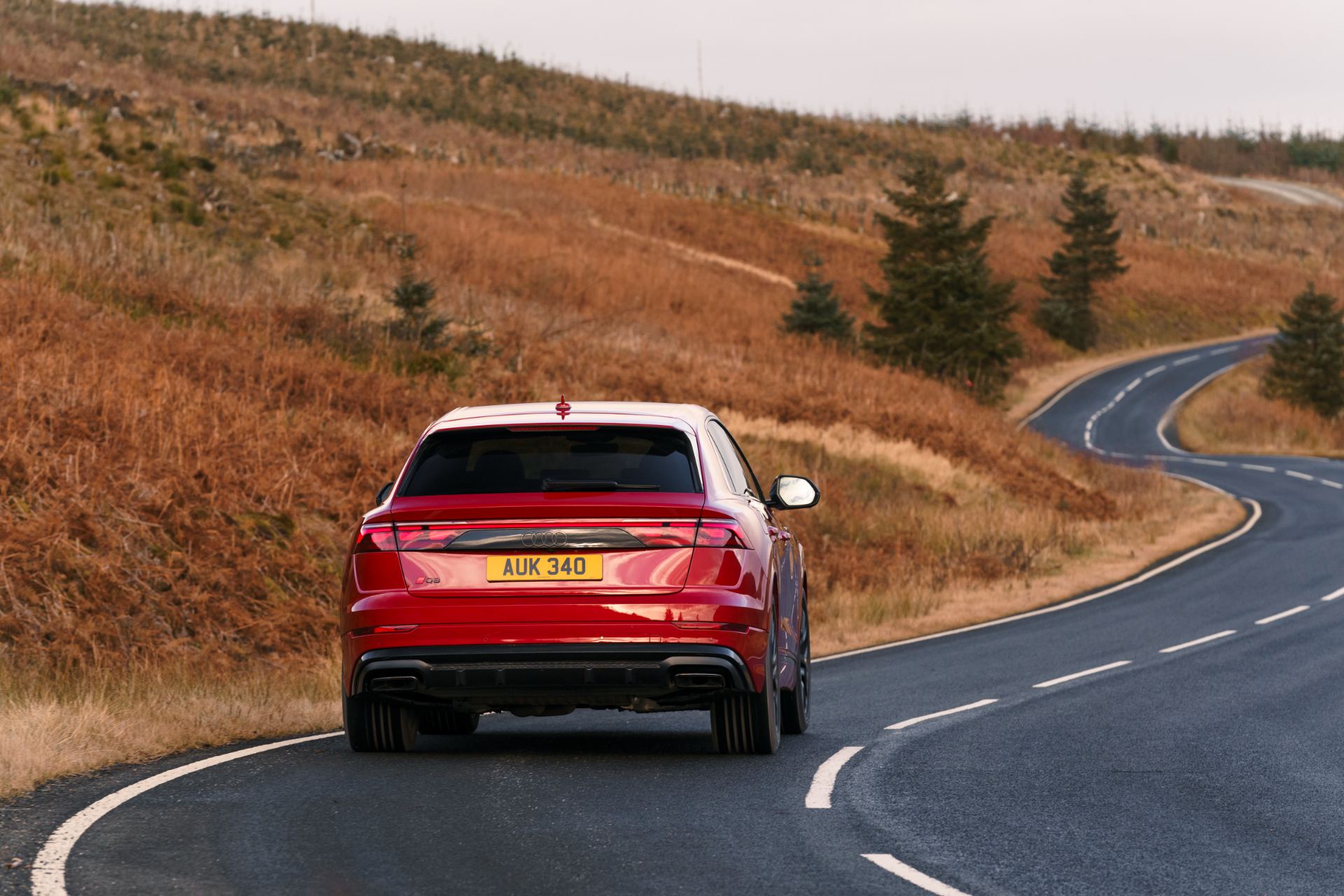 2026 audi q8 suv driving rear winding road red