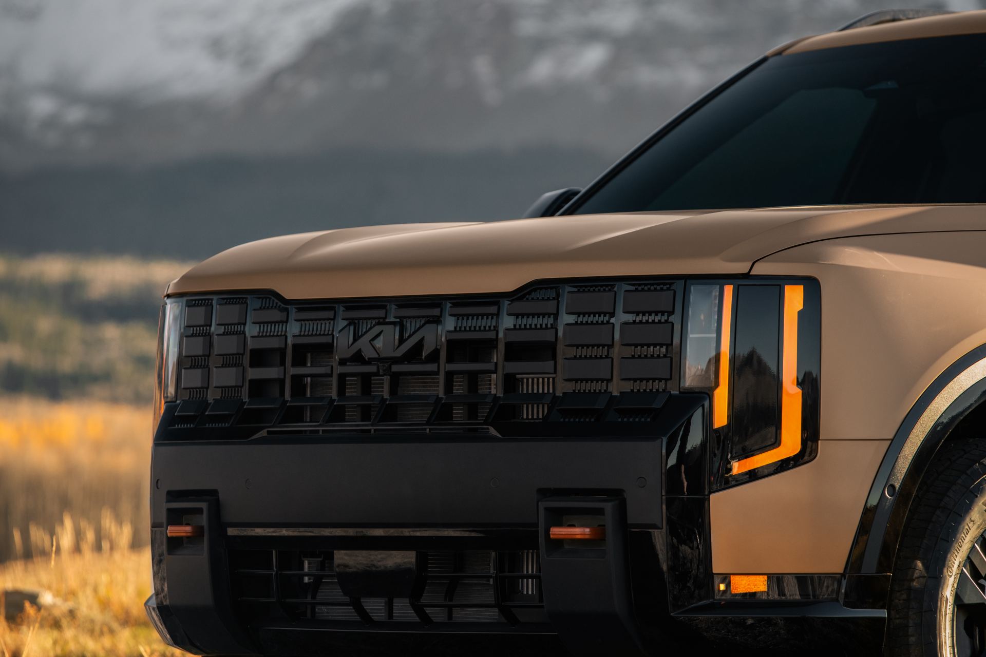 Close-up of the X-Line dark exterior trim and roof rails